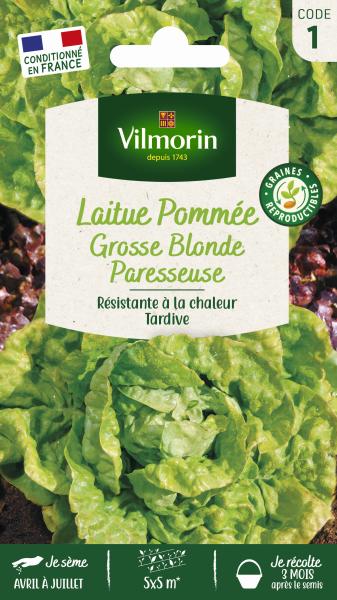 Potagères - Laitue Pommée Grosse Blonde Paresseuse - PACKAGING_RECTO